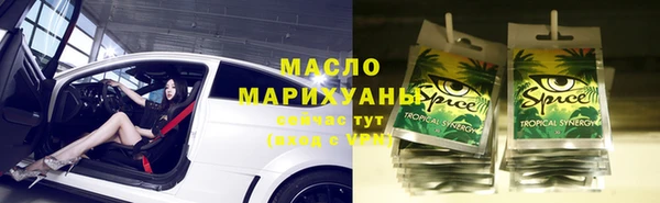 трава Няндома