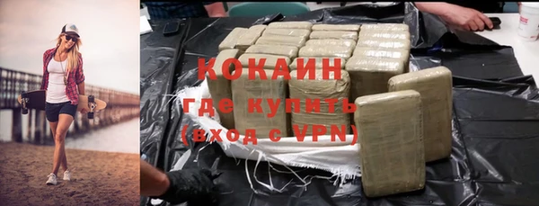 mix Богородицк