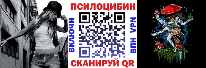 Галлюциногенные грибы Psilocybe  Дубна 